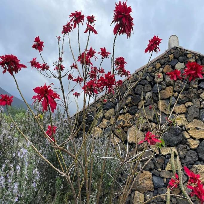 Casa Rural De La Luna, La Palma Villa Tigalate Ngoại thất bức ảnh