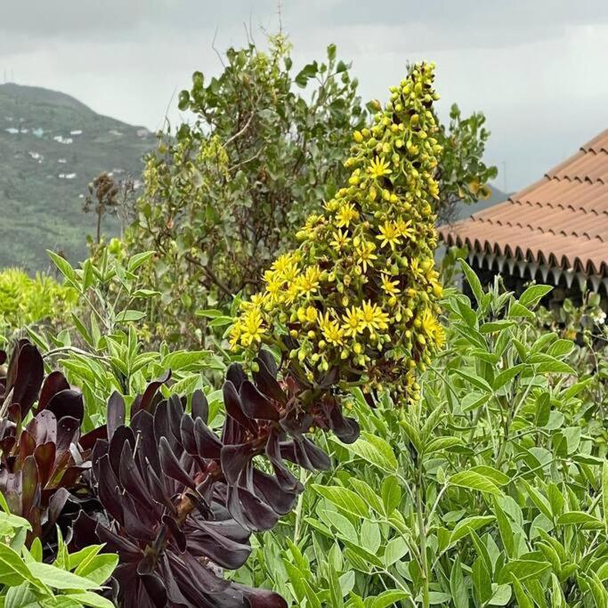 Casa Rural De La Luna, La Palma Villa Tigalate Ngoại thất bức ảnh