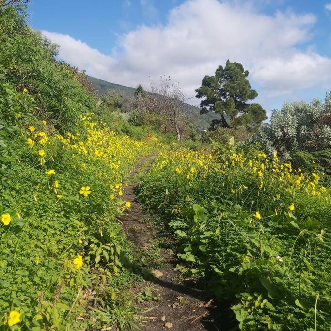 Casa Rural De La Luna, La Palma Villa Tigalate Ngoại thất bức ảnh